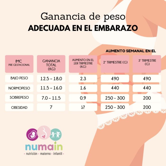 Nutrición en el embarazo - Imagen 2